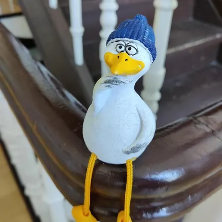 Crampas 2 Appartement Sassnitz